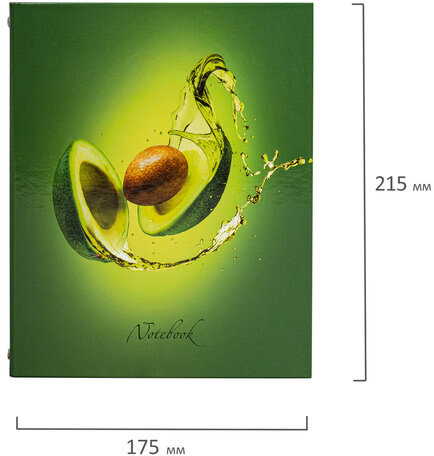 Тетрадь на кольцах А5 175х215 мм, 240 л., твердый картон, с разделителями, BRAUBERG, "Авокадо", 404098