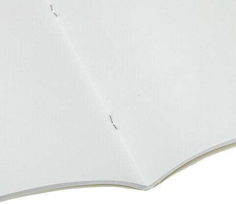 Альбом для рисования А4 40 листов, скоба, обложка картон, BRAUBERG, 202х285 мм, "Тюльпаны" (1 вид), 105088