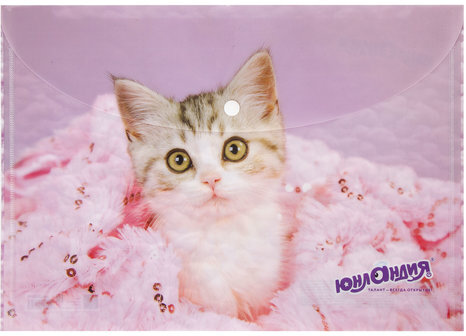 Папка-конверт с кнопкой ЮНЛАНДИЯ "Котенок", А4, 160 мкм, до 100 листов, цветная печать, 228049