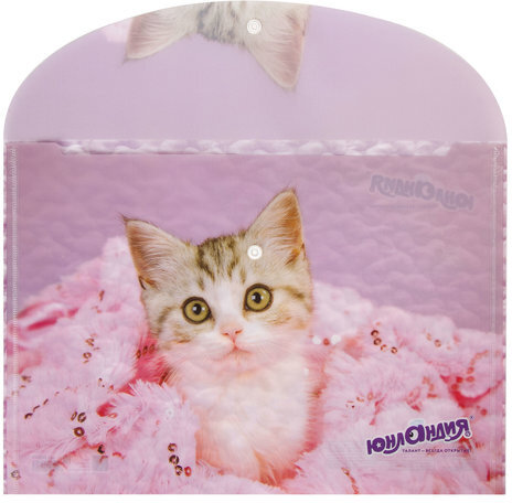 Папка-конверт с кнопкой ЮНЛАНДИЯ "Котенок", А4, 160 мкм, до 100 листов, цветная печать, 228049