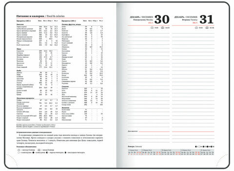 Ежедневник датированный 2025, А5, 150x213 мм, BRAUBERG "Up", под кожу, софт-тач, держатель для ручки, черный, 115840