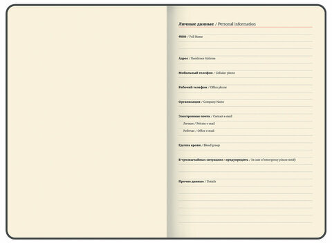 Еженедельник датированный 2025, 210х297 мм, А4, BRAUBERG "Iguana", под кожу, синий, 115949