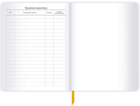 Дневник 1-11 класс 48 л., кожзам (гибкая), печать, фольга, BRAUBERG, "Mountains", 106223