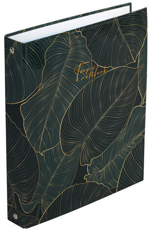 Тетрадь на кольцах А5 175х215 мм, 240 л., твердый картон, с разделителями, BRAUBERG, "Листья", 404099