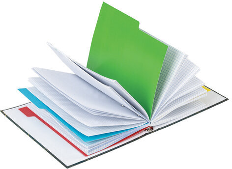 Тетрадь на кольцах А5 175х215 мм, 240 л., твердый картон, с разделителями, BRAUBERG, "Листья", 404099