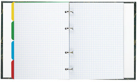 Тетрадь на кольцах А5 175х215 мм, 240 л., твердый картон, с разделителями, BRAUBERG, "Листья", 404099