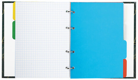 Тетрадь на кольцах А5 175х215 мм, 240 л., твердый картон, с разделителями, BRAUBERG, "Листья", 404099