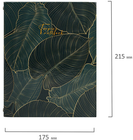 Тетрадь на кольцах А5 175х215 мм, 240 л., твердый картон, с разделителями, BRAUBERG, "Листья", 404099