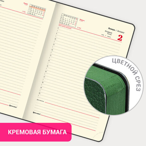 Ежедневник датированный 2024 А5 138x213 мм BRAUBERG "Stylish", под кожу, гибкий, зеленый, 114896