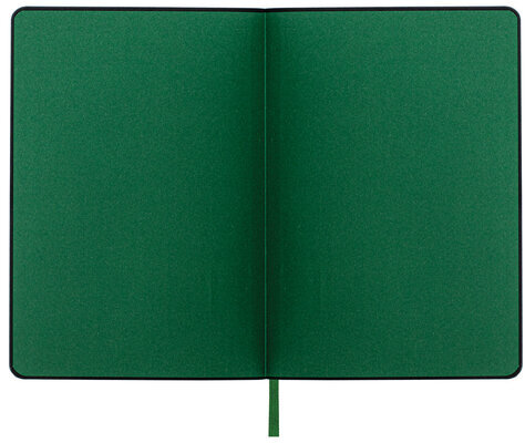 Ежедневник датированный 2024 А5 138x213 мм BRAUBERG "Stylish", под кожу, гибкий, зеленый, 114896