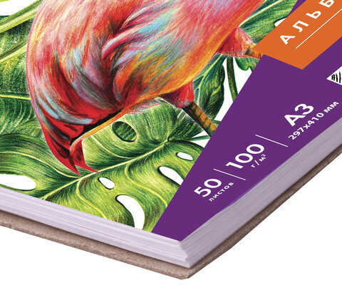 Скетчбук, белая бумага 100 г/м2, 297х410 мм, 50 л., гребень, жёсткая подложка, BRAUBERG ART DEBUT, 110980