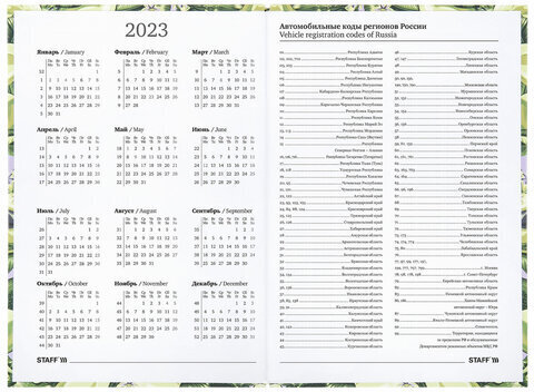Ежедневник датированный на 2023 (145х215 мм), А5, STAFF, ламинированная обложка, "Avocado", 114194