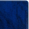 Альбом нумизмата для 90 монет (диаметр до 32 мм), 145х185 мм, синий, ОСТРОВ СОКРОВИЩ, 237958