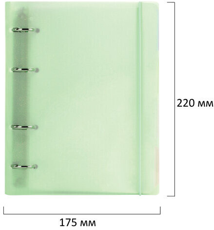 Тетрадь на кольцах А5 175х220 мм, 120 л., пластик, с резинкой и разделителями, BRAUBERG, Зеленый, 404632