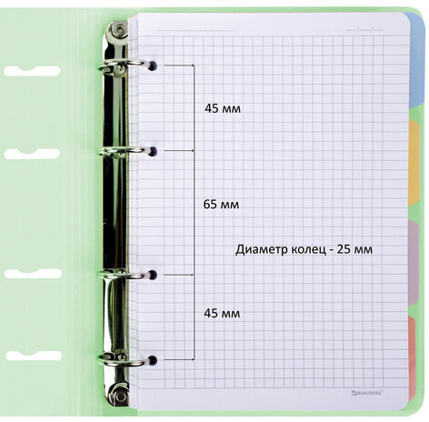 Тетрадь на кольцах А5 175х220 мм, 120 л., пластик, с резинкой и разделителями, BRAUBERG, Зеленый, 404632