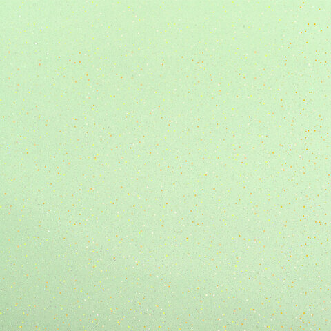 Тетрадь на кольцах А5 175х220 мм, 120 л., пластик, с резинкой и разделителями, BRAUBERG, Зеленый, 404632