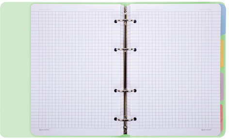 Тетрадь на кольцах А5 175х220 мм, 120 л., пластик, с резинкой и разделителями, BRAUBERG, Зеленый, 404632