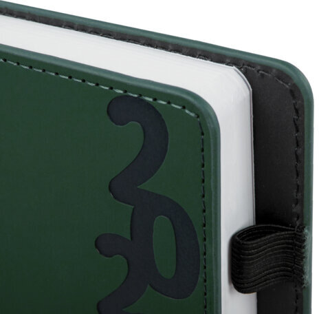 Ежедневник датированный 2025, А5, 150x213 мм, BRAUBERG "Up", под кожу, софт-тач, держатель для ручки, зеленый, 115841