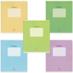 Тетрадь А5, 48 л., АЛЬТ, скоба, клетка, выборочный лак, "ЛЮКС" (5 видов), 7-48-721/1