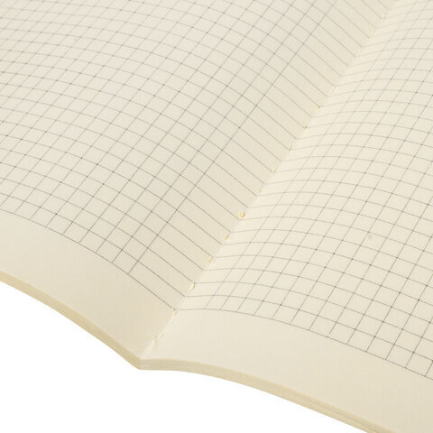 Тетрадь 60 л. в клетку обложка SoftTouch, бежевая бумага 70 г/м2, сшивка, В5 (179х250 мм), СКАЗКА, BRAUBERG, 403811