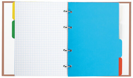 Тетрадь на кольцах А5 175х215 мм, 240 л., твердый картон, с разделителями, BRAUBERG, "Cool Girl", 404100