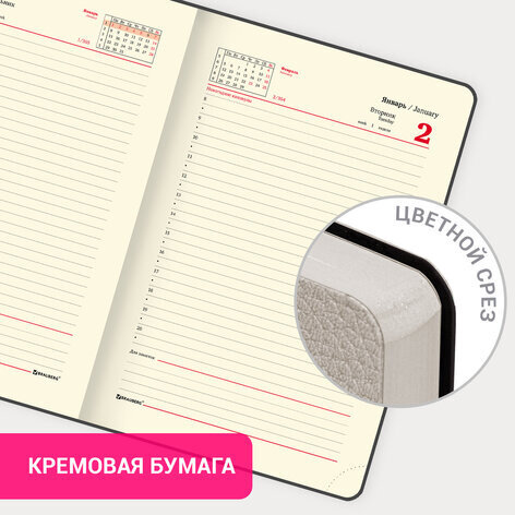 Ежедневник датированный 2024 А5 138x213 мм BRAUBERG "Stylish", под кожу, гибкий, бежевый, 114897