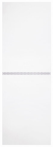 Скетчбук, белая бумага 120 г/м2, 297х410 мм, 40 л., гребень, жёсткая подложка, BRAUBERG ART DEBUT, 110981