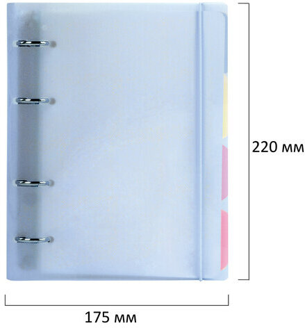 Тетрадь на кольцах А5 175х220 мм, 120 л., пластик, с резинкой и разделителями, BRAUBERG, Голубой, 404633