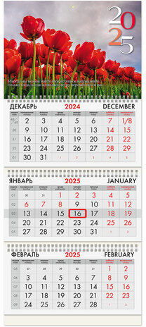 Календарь квартальный на 2025 г., 3 блока, 3 гребня, с бегунком, офсет, BRAUBERG, &quot;Тюльпаны&quot;, 116109