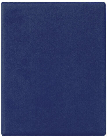 Тетрадь на кольцах А5 180х220 мм, 80 л., обложка ПВХ, клетка, BRAUBERG, синий, 403913