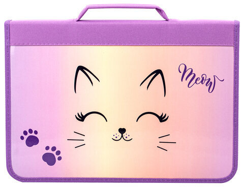 Папка для труда на молнии BRAUBERG А4 с ручкой, 1 отделение, органайзер, "Cheerful", 271448