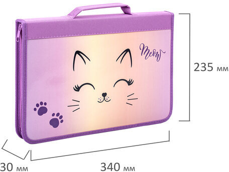 Папка для труда на молнии BRAUBERG А4 с ручкой, 1 отделение, органайзер, "Cheerful", 271448