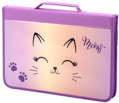 Папка для труда на молнии BRAUBERG А4 с ручкой, 1 отделение, органайзер, "Cheerful", 271448