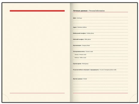 Ежедневник недатированный А5 138х213 мм BRAUBERG "FLAME", под кожу, 160 л., черный, серебряный срез, 113425