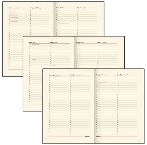 Ежедневник недатированный А5 138х213 мм BRAUBERG "FLAME", под кожу, 160 л., черный, серебряный срез, 113425