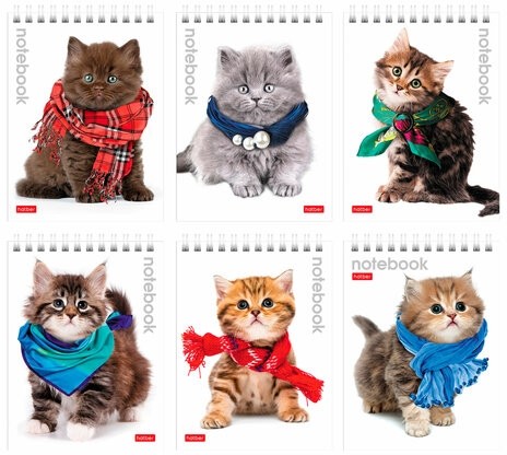 Блокнот МАЛЫЙ ФОРМАТ (110х145 мм) А6, 40 л., гребень, лакированная обложка, клетка, HATBER, "Котята", 40Б6B1гр, В12291