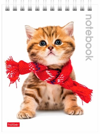 Блокнот МАЛЫЙ ФОРМАТ (110х145 мм) А6, 40 л., гребень, лакированная обложка, клетка, HATBER, "Котята", 40Б6B1гр, В12291