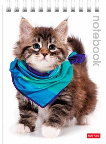 Блокнот МАЛЫЙ ФОРМАТ (110х145 мм) А6, 40 л., гребень, лакированная обложка, клетка, HATBER, "Котята", 40Б6B1гр, В12291