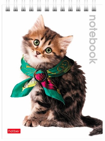 Блокнот МАЛЫЙ ФОРМАТ (110х145 мм) А6, 40 л., гребень, лакированная обложка, клетка, HATBER, "Котята", 40Б6B1гр, В12291