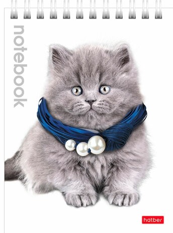 Блокнот МАЛЫЙ ФОРМАТ (110х145 мм) А6, 40 л., гребень, лакированная обложка, клетка, HATBER, "Котята", 40Б6B1гр, В12291