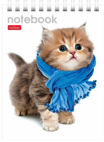 Блокнот МАЛЫЙ ФОРМАТ (110х145 мм) А6, 40 л., гребень, лакированная обложка, клетка, HATBER, "Котята", 40Б6B1гр, В12291