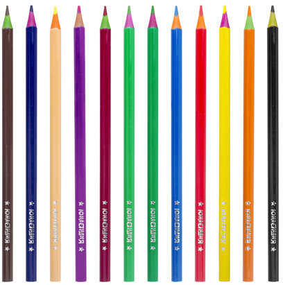 Карандаши цветные ЮНЛАНДИЯ "КАРНАВАЛ", 12 цветов, пластиковые, заточенные, трехгранный корпус, 181684