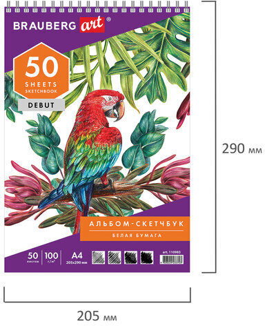 Скетчбук, белая бумага 100 г/м2, 205х290 мм, 50 л., гребень, жёсткая подложка, BRAUBERG ART DEBUT, 110983