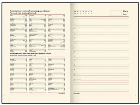 Ежедневник недатированный А5 138х213 мм BRAUBERG "FLAME", под кожу, 160 л., черный, золотой срез, 113426