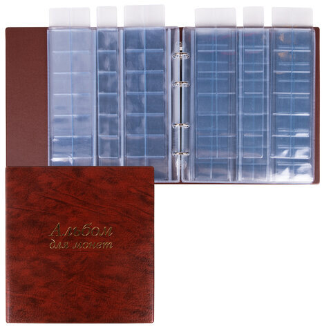 Альбом нумизмата для 380 монет (диаметр до 38 мм) и купюр, 253х238 мм, коричневый, ОСТРОВ СОКРОВИЩ, 237961