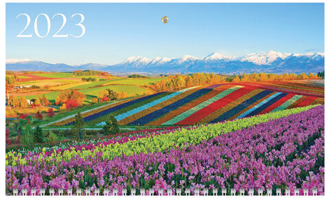 Календарь квартальный с бегунком 2023 г., 3 блока, 3 гребня, ОФИС, "Цветущие долины", HATBER, 3Кв3гр3_27059