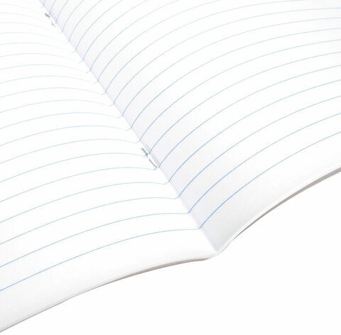 Тетрадь предметная "ЗНАНИЯ" 36 л., обложка мелованная бумага, РУССКИЙ ЯЗЫК, линия, подсказ, BRAUBERG, 404828