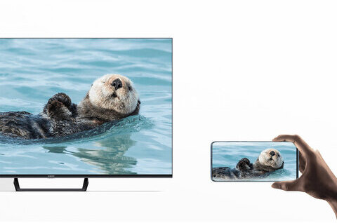 Телевизор XIAOMI Mi LED TV A2 55" (138 см), 3840x2160, 4K, 16:9, SmartTV, Wi-Fi, черный, L55M7-EARU