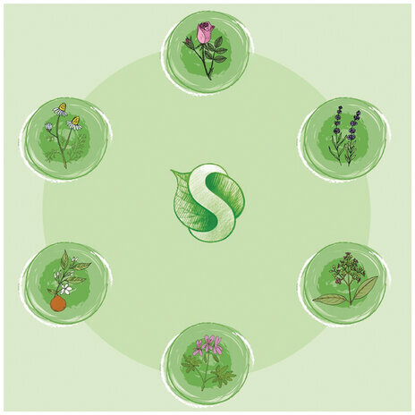 Мыло жидкое 500 мл SYNERGETIC "Луговые травы", гипоаллергенное, биоразлагаемое, дозатор, 105053