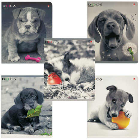 Тетрадь А5, 48 л., АЛЬТ, скоба, клетка, гибридный лак, "ЩЕНКИ. КОНТРАСТЫ" (5 видов), 7-48-1026